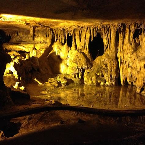 The girl and her mom did the "show cave" tour and the lad and I did the "Eco-tour" wild-cave. . Raccoon mountain caverns reviews